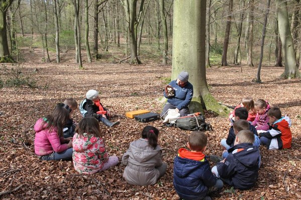 classe%20du%20dehors classe%20du%20dehors